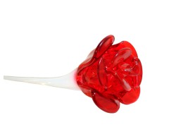 Glass roses, ruby ​​color  www.sklenenevyrobky.cz