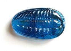 Trilobit, Glas Original Paperweight, blau Farbe www.sklenenevyrobky.cz