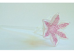 Lilienblume, blühend, weißrosa www.glas-produkte.com