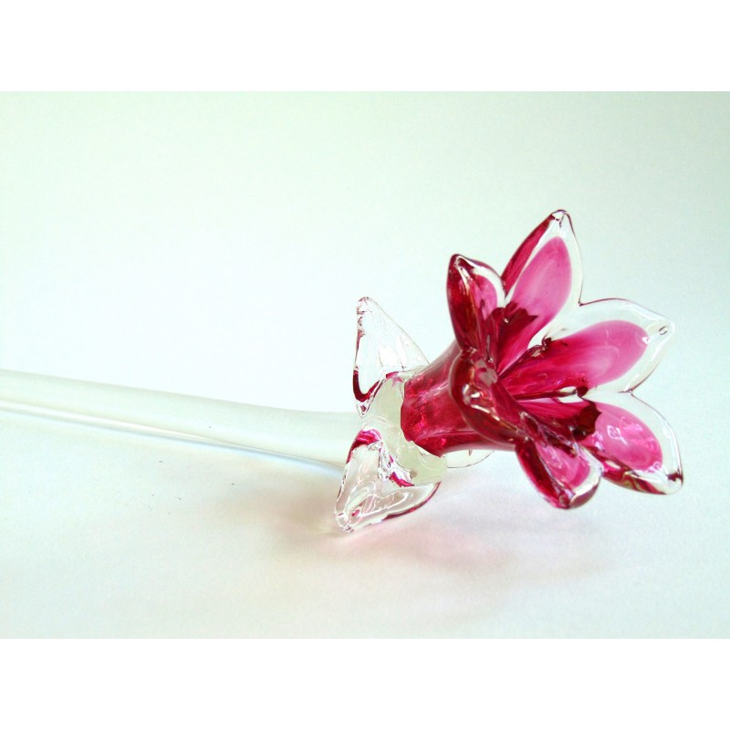 Lilienblume, blühend, lila www.glas-produkte.com